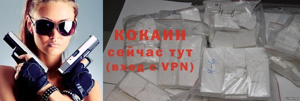 тгк Бердск