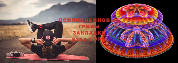 apvp Балахна