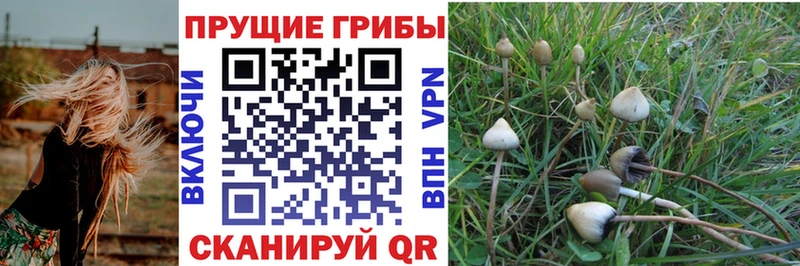 купить закладку гидра сайт Псилоцибиновые грибы Psilocybine cubensis Ленск